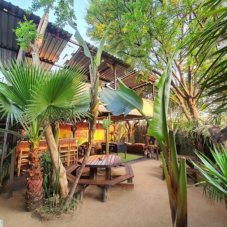 Hostel Lebo's Soweto Backpackers Zewnętrze zdjęcie